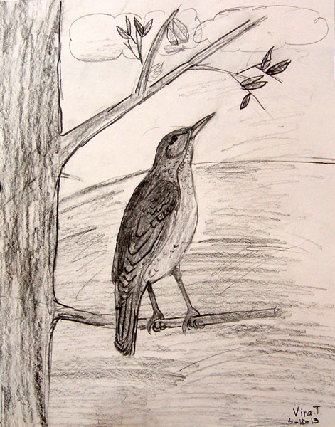 Bird_3