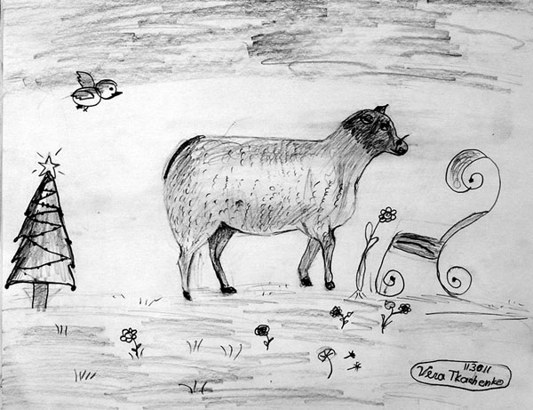 Sheep