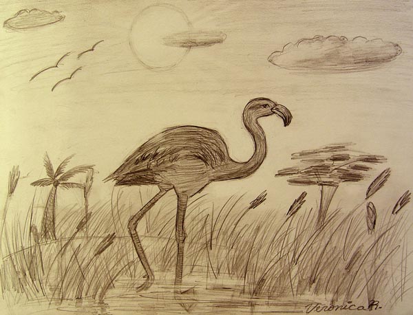 Bird_1