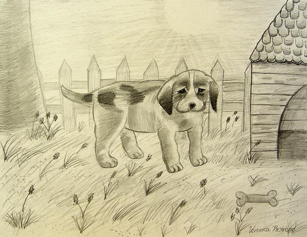 Dog_1