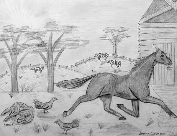 Farm