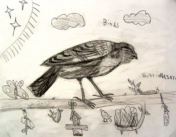 Bird