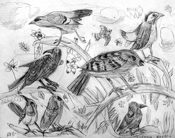 Birds