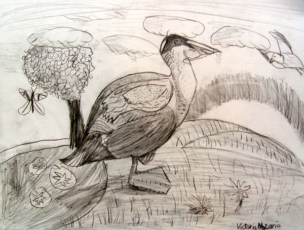 Duck