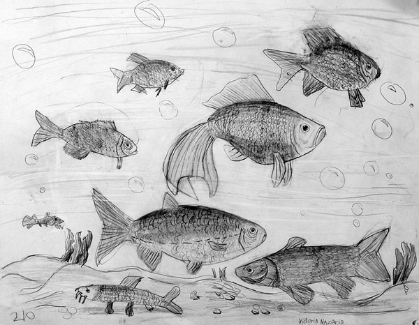 Fishes