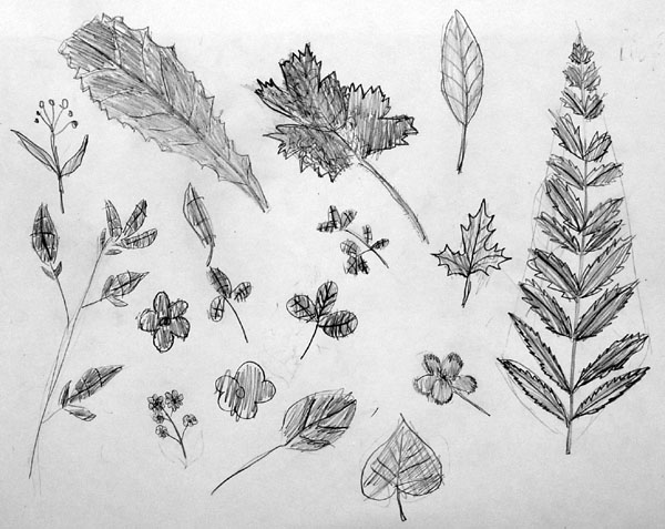 Sketches