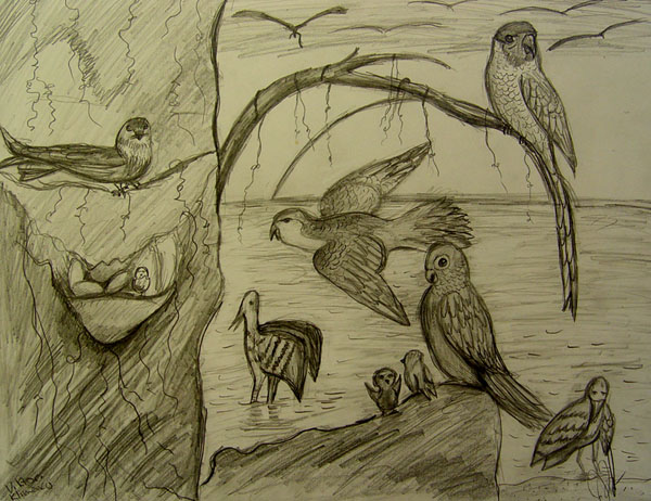 Birds