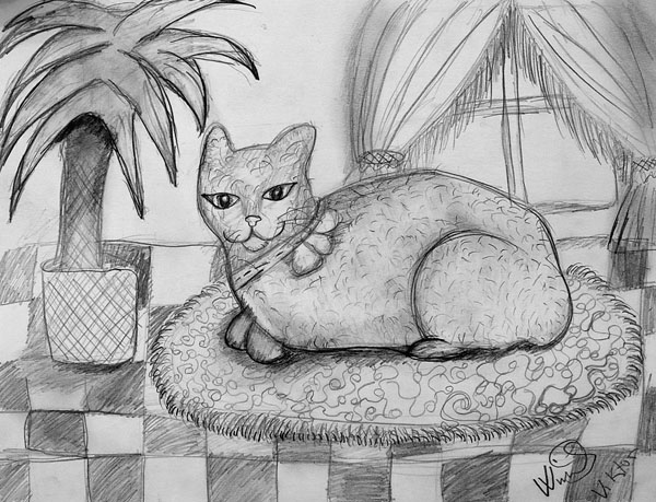 Cat_1
