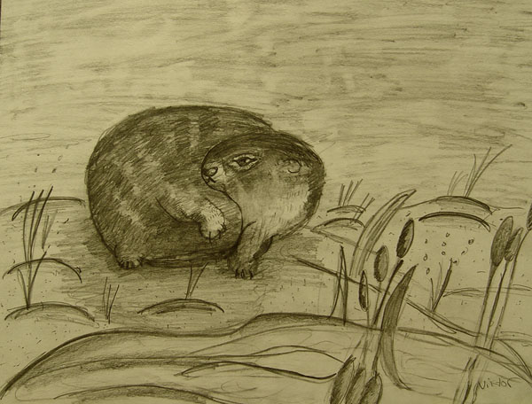 Otter