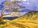 Landscape_5