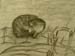 Otter