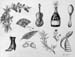 Sketches