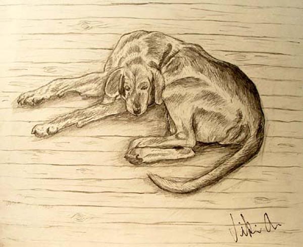 Dog