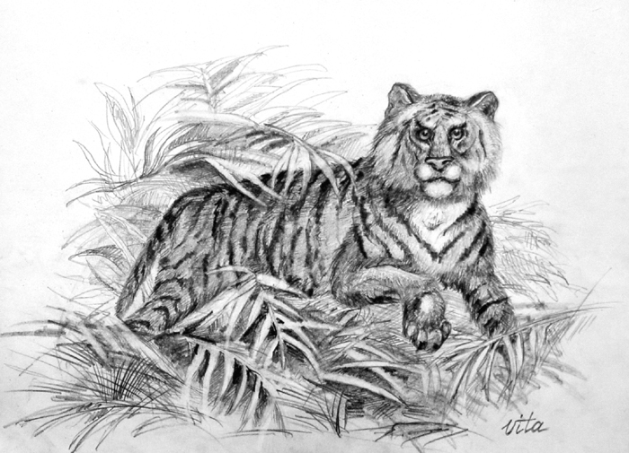 Tiger