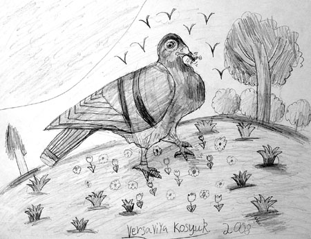 Bird
