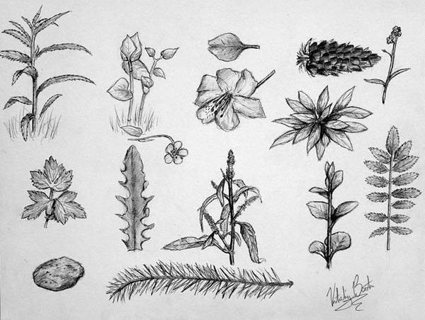 Sketches