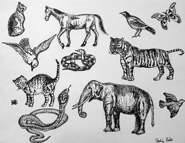Sketches_(pen)