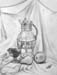 Still-life