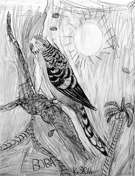 Bird