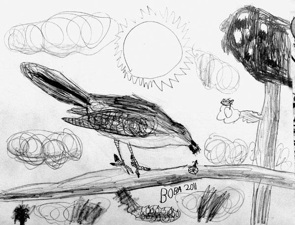 Bird_2