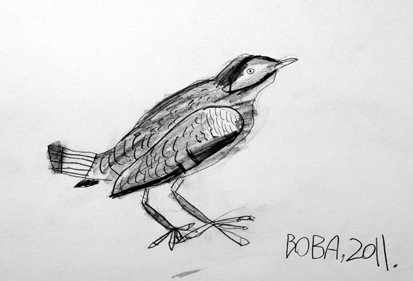 Bird_3