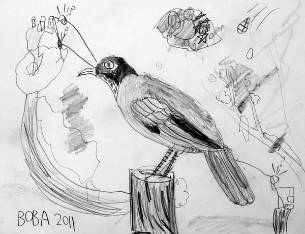 Bird_4