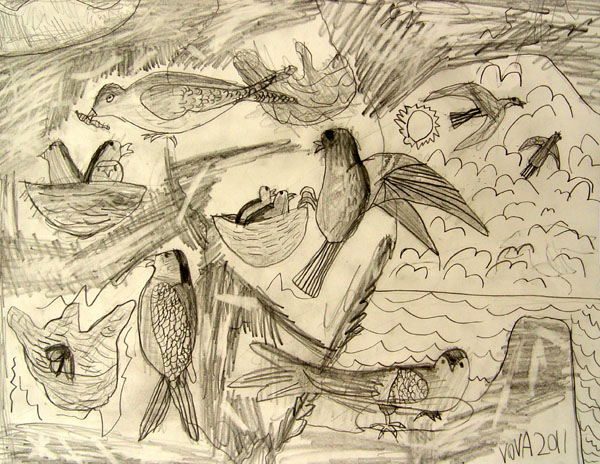 Birds