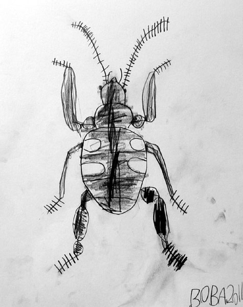 Bug_3