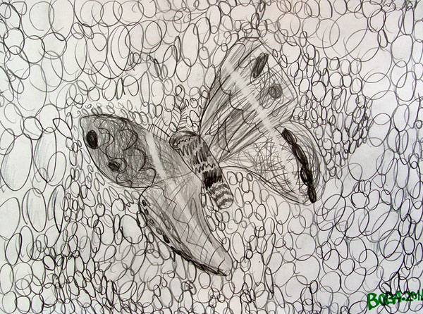 Butterfly