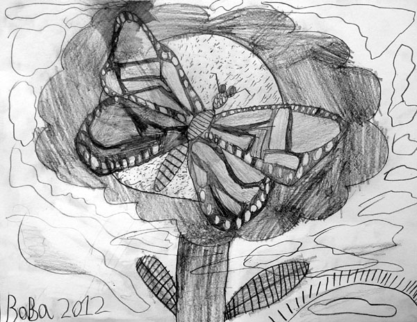 Butterfly_2