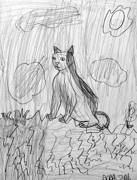 Cat