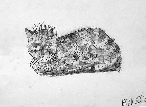Cat_4