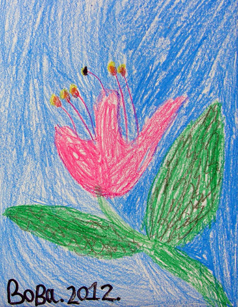 Flower_2