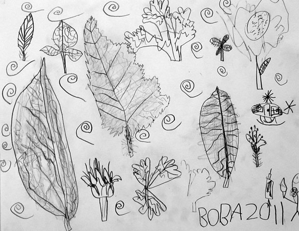 Sketches