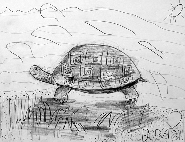 Turtle