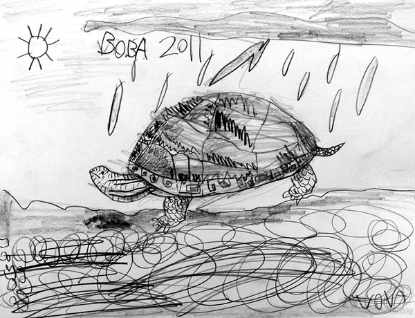 Turtle_2