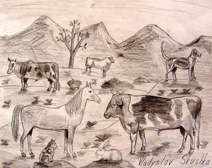Animals_1