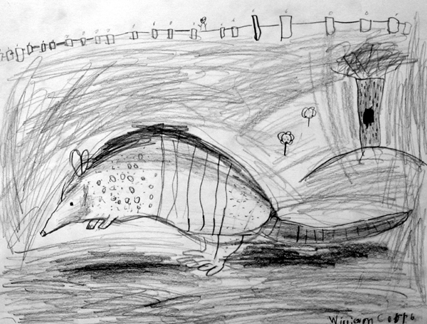Armadillo