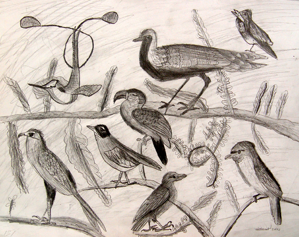 Birds