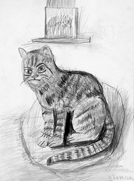 Cat