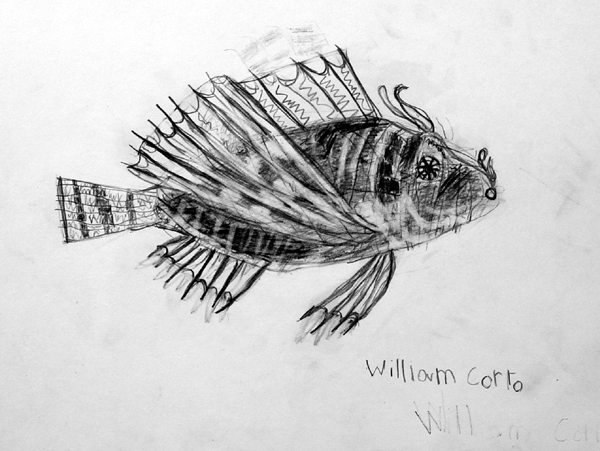 Fish