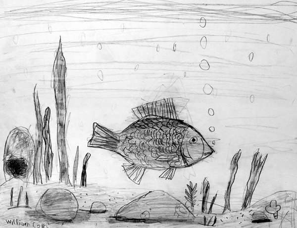 Fish_2