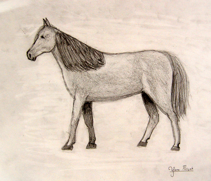 Horse