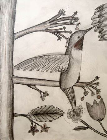 Bird_1