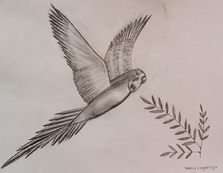 Bird_2