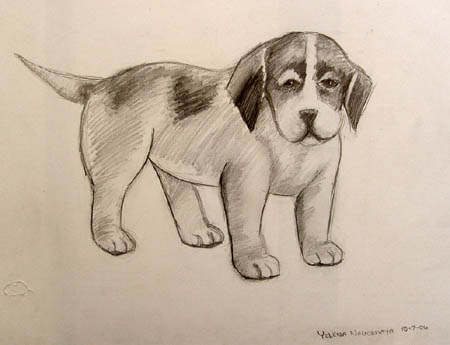 Dog