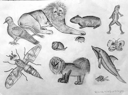 Sketches_1