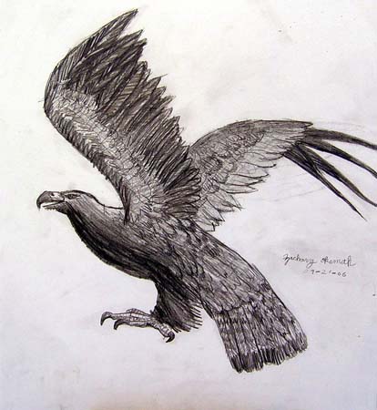 Eagle