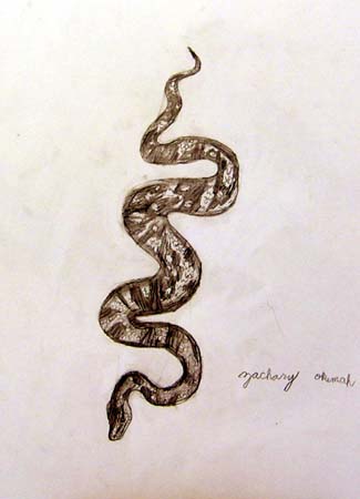 Snake