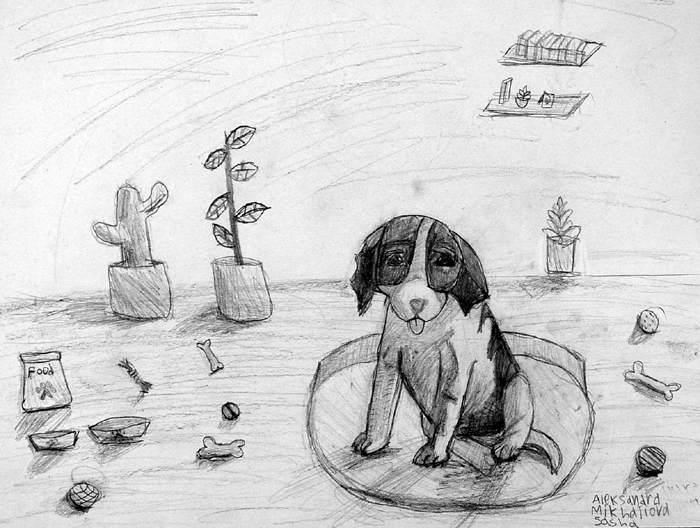 Dog
